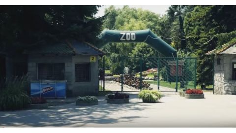 Zoološki vrt Palić - jul 2015 spot 