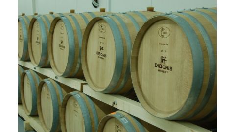 Vinograd Vinarije DiBonis - Berba 2022.