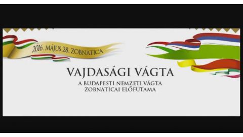 Vajdasagi Vagta Zobnatica 2016