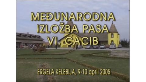 Medjunarodna izlozba pasa - Ergela Kelebija 2005 